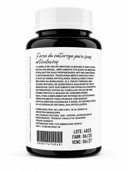 Cura da Terra